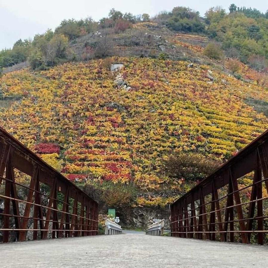 Casa Das Xacias Ribeira Sacra A Airoa  Екстер'єр фото